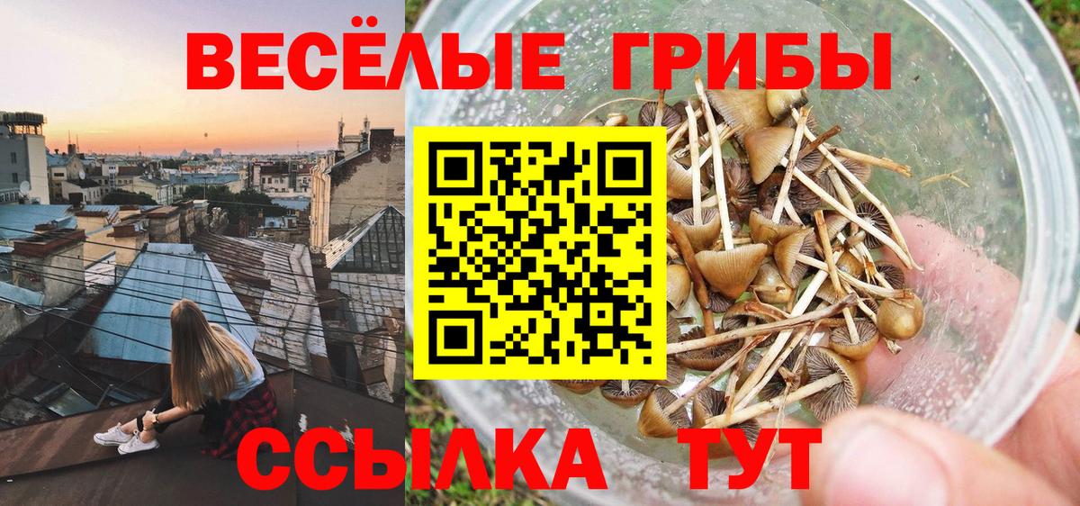 Псилоцибиновые грибы Magic Shrooms Кушва