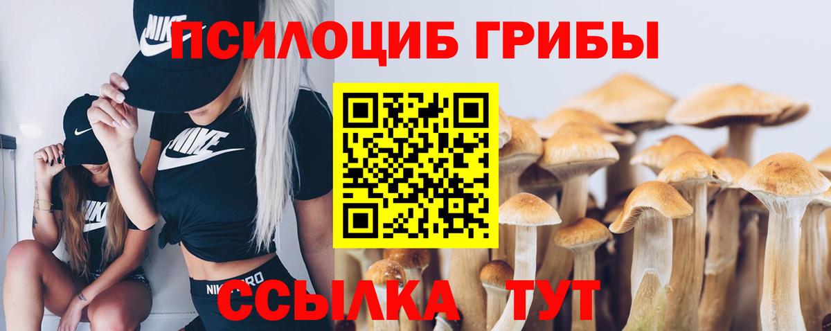 купить  цена  Псилоцибиновые грибы Cubensis  Псилоцибиновые грибы GOLDEN TEACHER  Вход с VPN  Кушва 